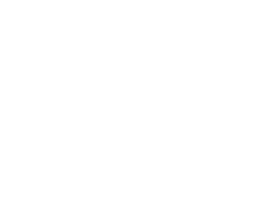 VayuPress